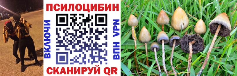 Псилоцибиновые грибы GOLDEN TEACHER  Переславль-Залесский 
