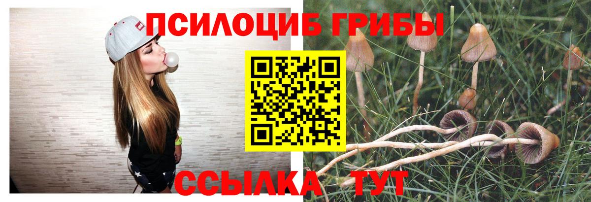 Переславль-Залесский  Псилоцибиновые грибы Magic Shrooms  Вход с VPN 
